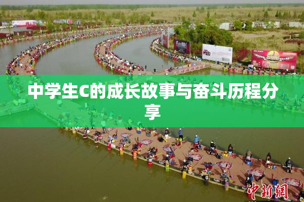 中学生C的成长故事与奋斗历程分享