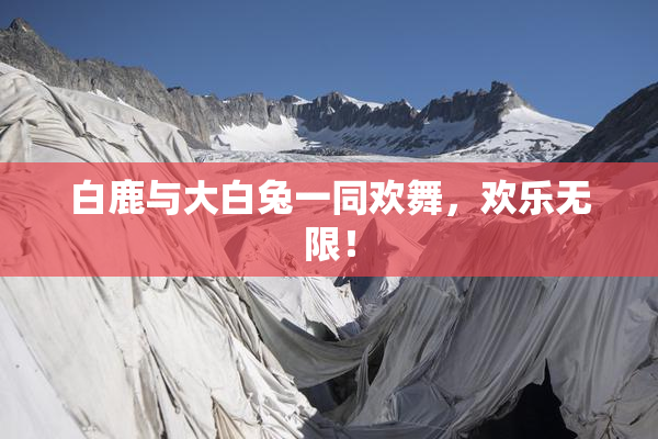 白鹿与大白兔一同欢舞，欢乐无限！