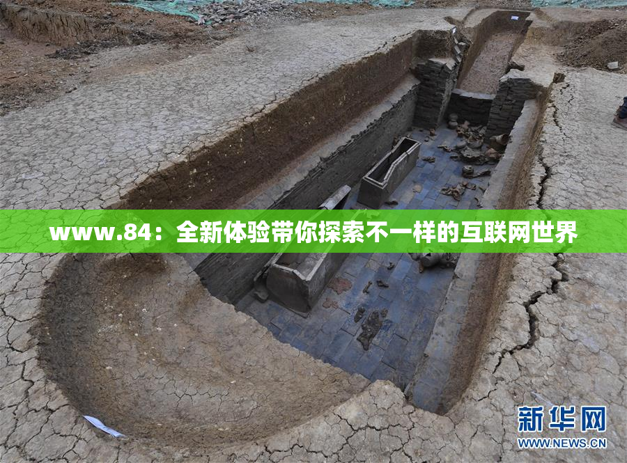 www.84：全新体验带你探索不一样的互联网世界