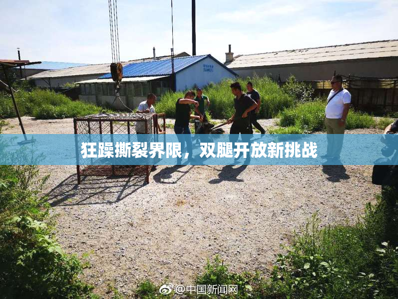 狂躁撕裂界限，双腿开放新挑战