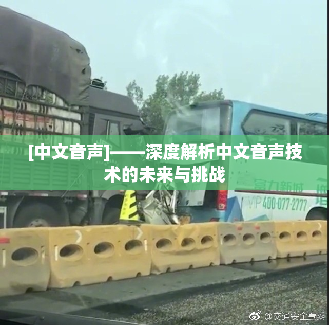 [中文音声]——深度解析中文音声技术的未来与挑战