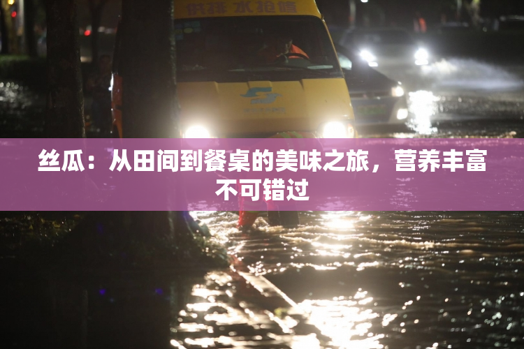 丝瓜：从田间到餐桌的美味之旅，营养丰富不可错过