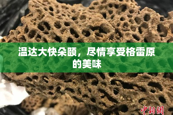 温达大快朵颐，尽情享受格雷原的美味
