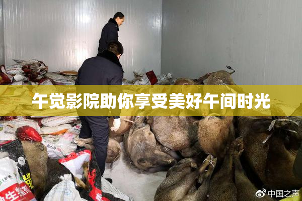 午觉影院助你享受美好午间时光