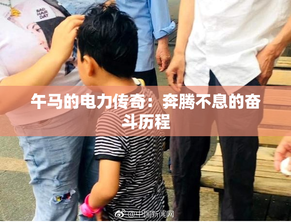 午马的电力传奇：奔腾不息的奋斗历程