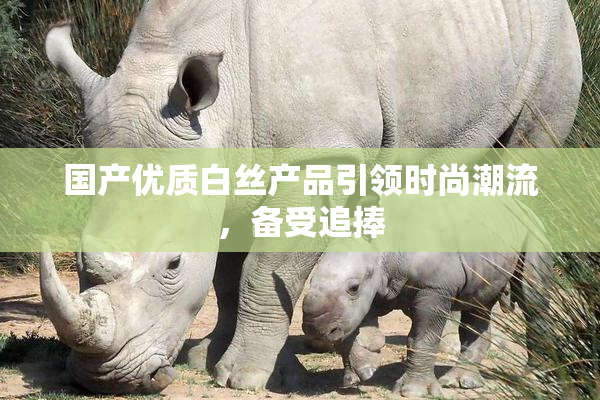 国产优质白丝产品引领时尚潮流，备受追捧