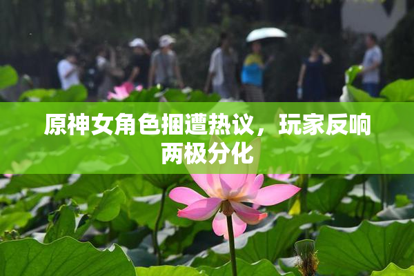 原神女角色捆遭热议，玩家反响两极分化