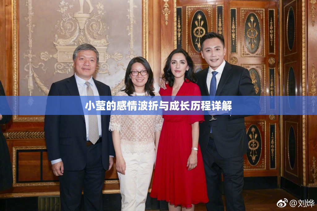 小莹的感情波折与成长历程详解