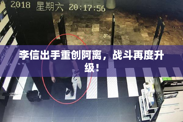 李信出手重创阿离，战斗再度升级！
