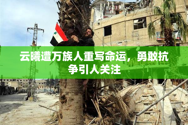 云曦遭万族人重写命运，勇敢抗争引人关注