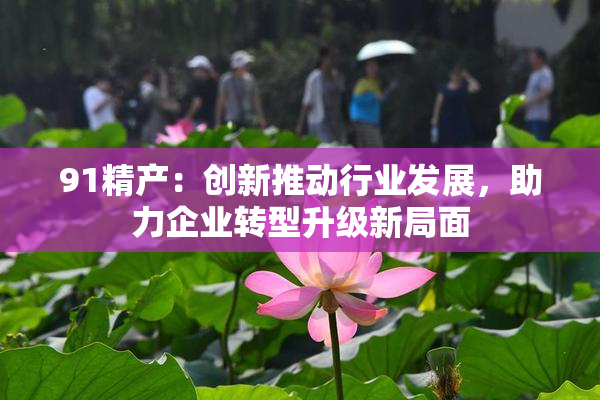91精产：创新推动行业发展，助力企业转型升级新局面
