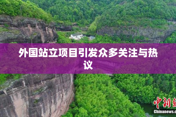 外国站立项目引发众多关注与热议
