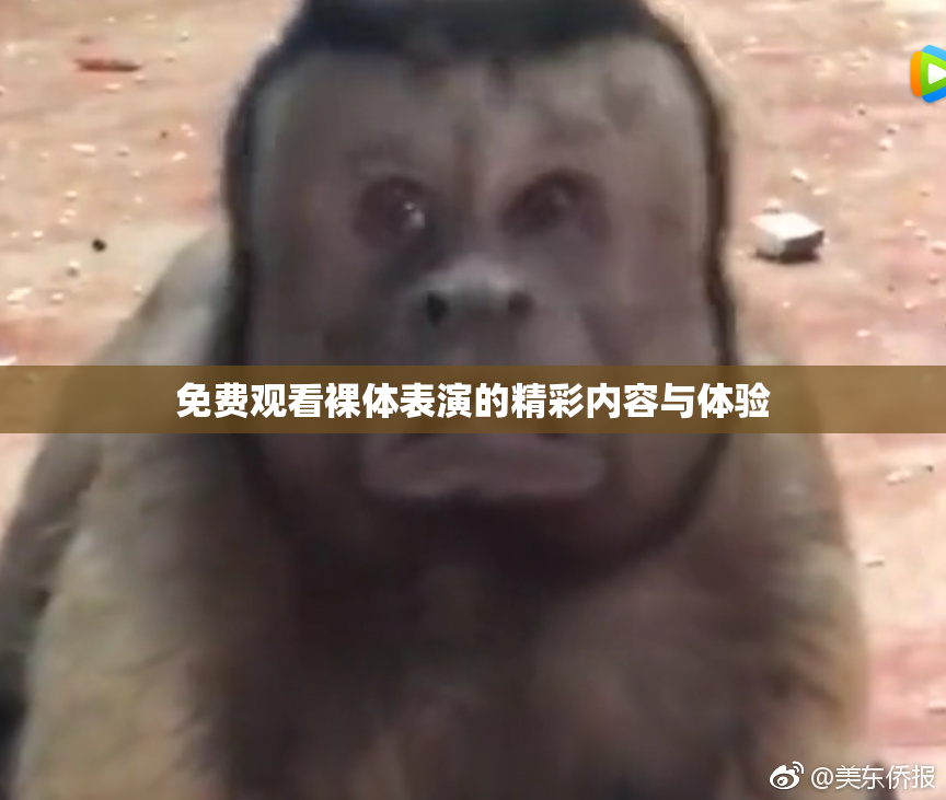 免费观看裸体表演的精彩内容与体验