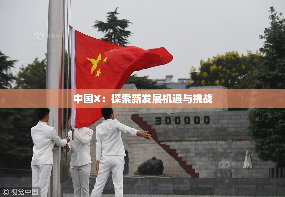 中国X：探索新发展机遇与挑战