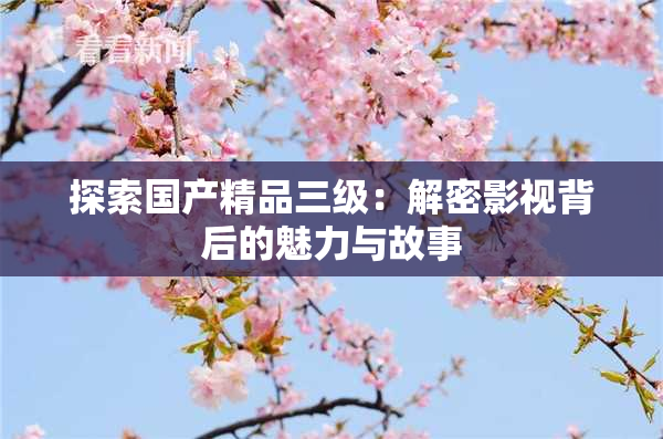 探索国产精品三级：解密影视背后的魅力与故事