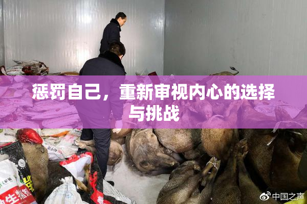 惩罚自己，重新审视内心的选择与挑战