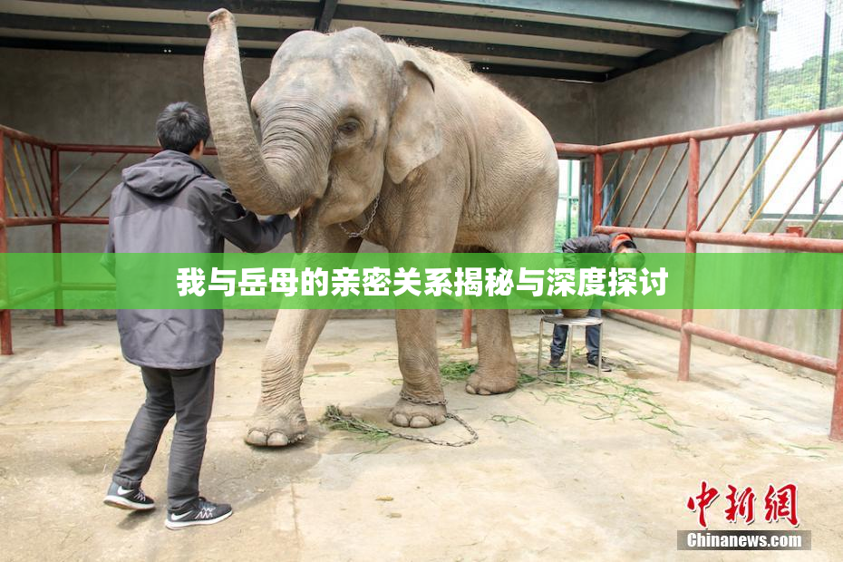 我与岳母的亲密关系揭秘与深度探讨