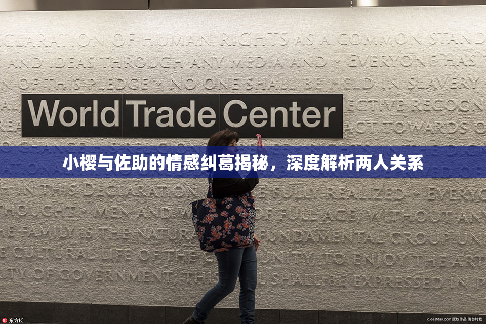 小樱与佐助的情感纠葛揭秘，深度解析两人关系