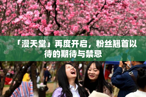 「漫天堂」再度开启，粉丝翘首以待的期待与禁忌