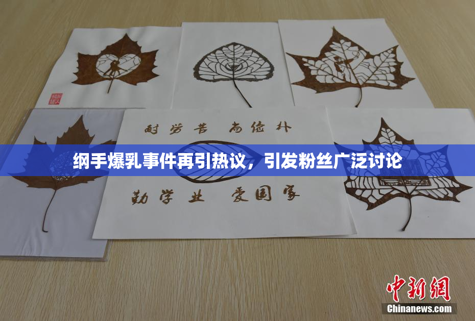 纲手爆乳事件再引热议，引发粉丝广泛讨论