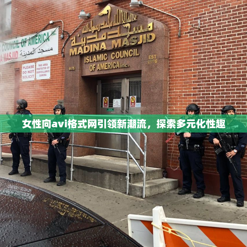 女性向avi格式网引领新潮流，探索多元化性趣