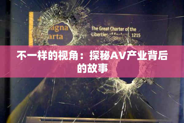 不一样的视角：探秘AV产业背后的故事