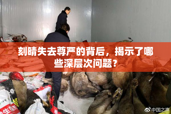 刻晴失去尊严的背后，揭示了哪些深层次问题？