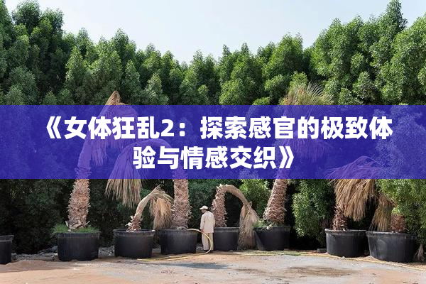 《女体狂乱2：探索感官的极致体验与情感交织》