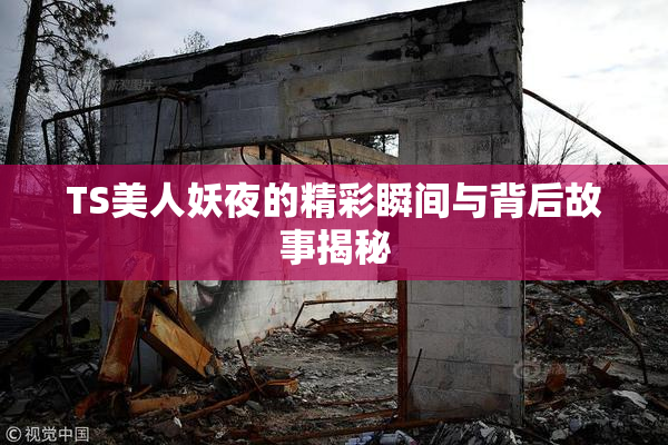 TS美人妖夜的精彩瞬间与背后故事揭秘