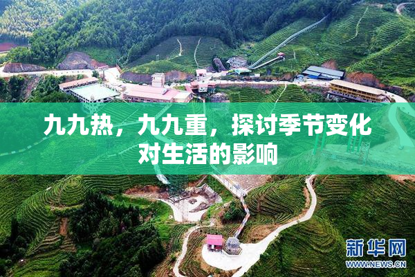 九九热，九九重，探讨季节变化对生活的影响