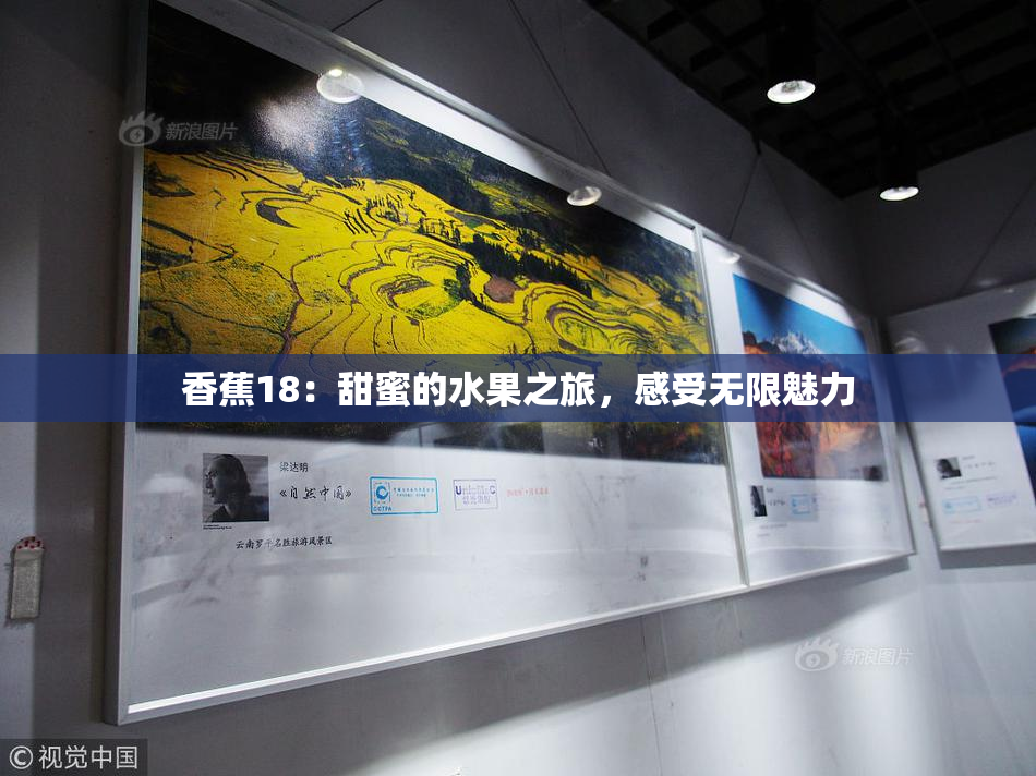 香蕉18：甜蜜的水果之旅，感受无限魅力