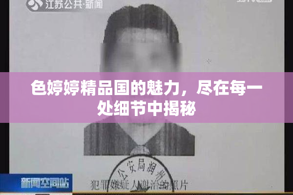 色婷婷精品国的魅力，尽在每一处细节中揭秘