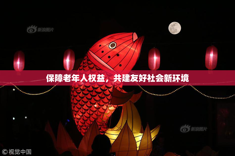 保障老年人权益，共建友好社会新环境