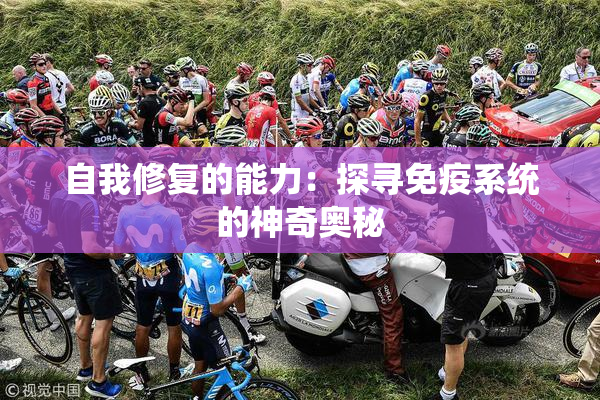自我修复的能力：探寻免疫系统的神奇奥秘
