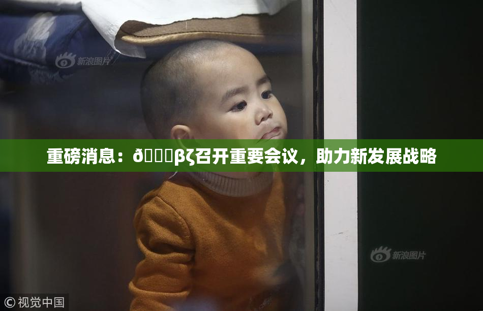 重磅消息：👙βζ召开重要会议，助力新发展战略