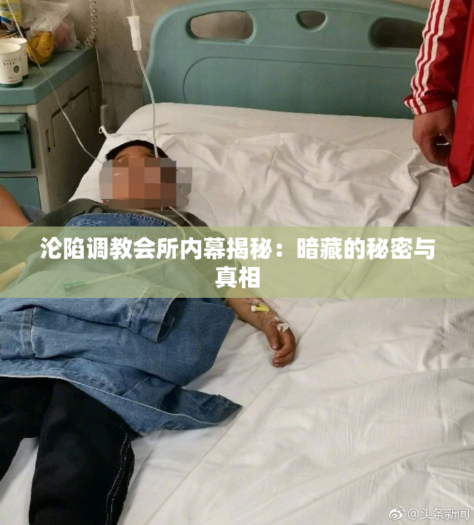 沦陷调教会所内幕揭秘：暗藏的秘密与真相