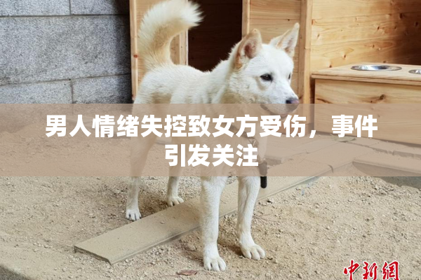 男人情绪失控致女方受伤，事件引发关注