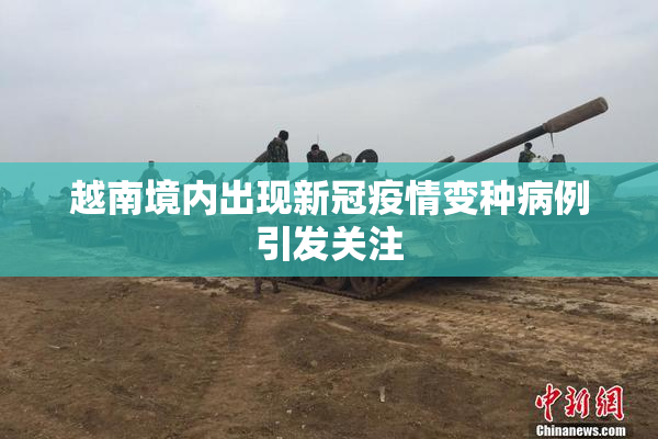 越南境内出现新冠疫情变种病例引发关注