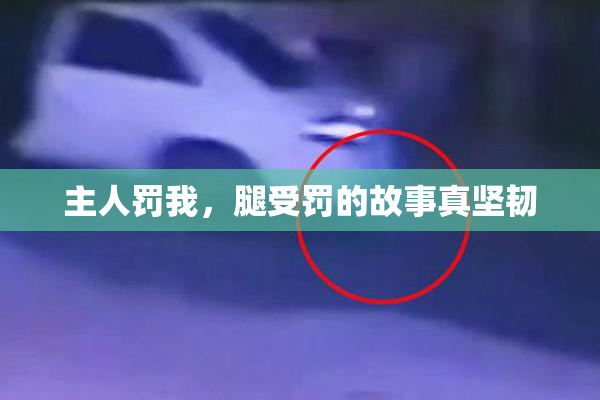 主人罚我，腿受罚的故事真坚韧