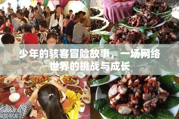少年的骇客冒险故事，一场网络世界的挑战与成长