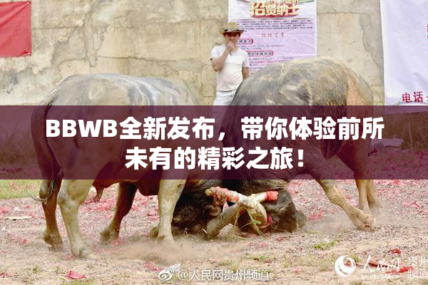 BBWB全新发布，带你体验前所未有的精彩之旅！