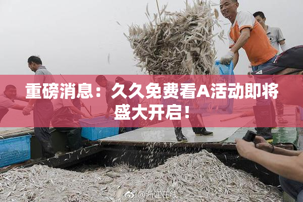 重磅消息：久久免费看A活动即将盛大开启！