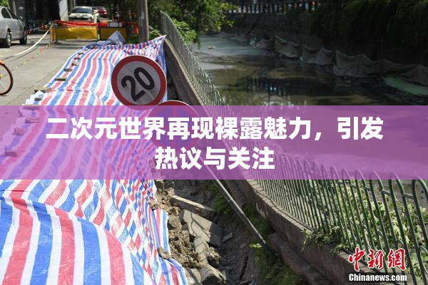 二次元世界再现裸露魅力，引发热议与关注