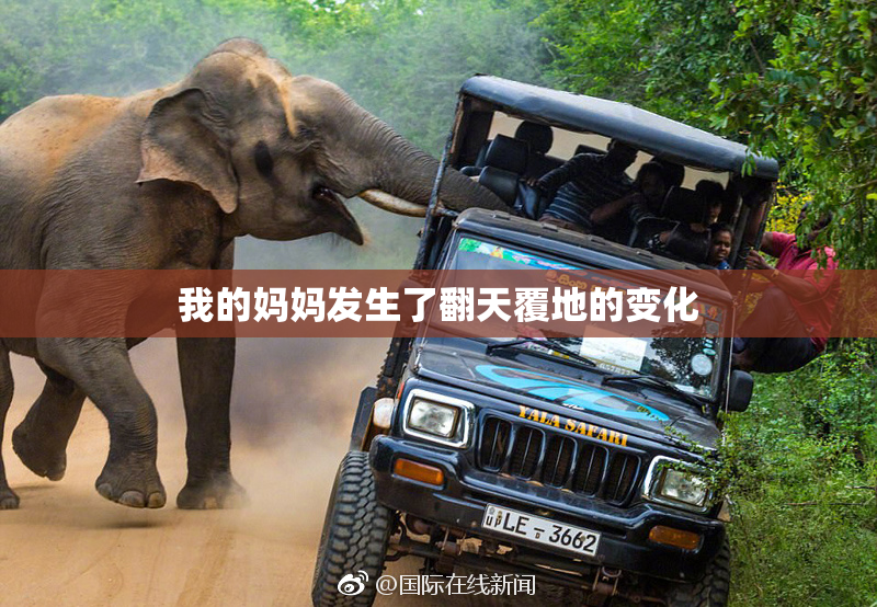 我的妈妈发生了翻天覆地的变化