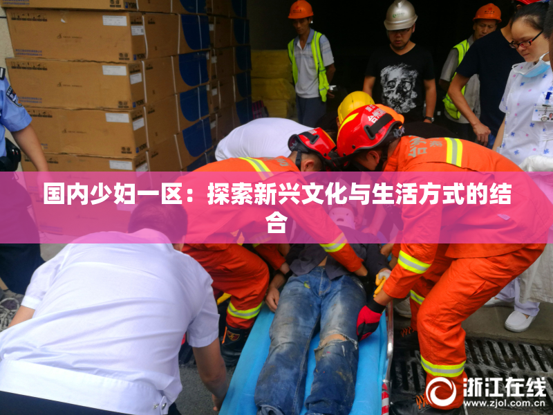国内少妇一区：探索新兴文化与生活方式的结合