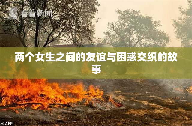 两个女生之间的友谊与困惑交织的故事