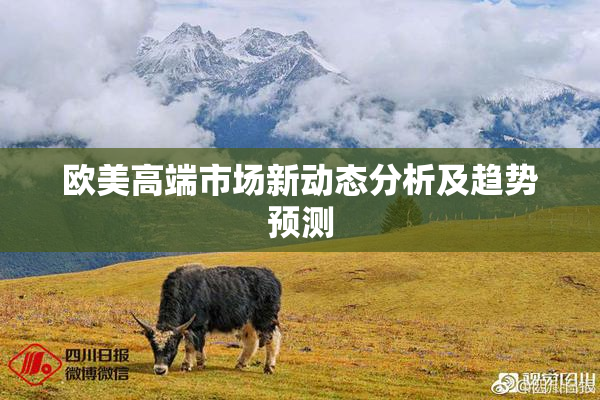 欧美高端市场新动态分析及趋势预测