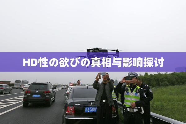 HD性の欲びの真相与影响探讨