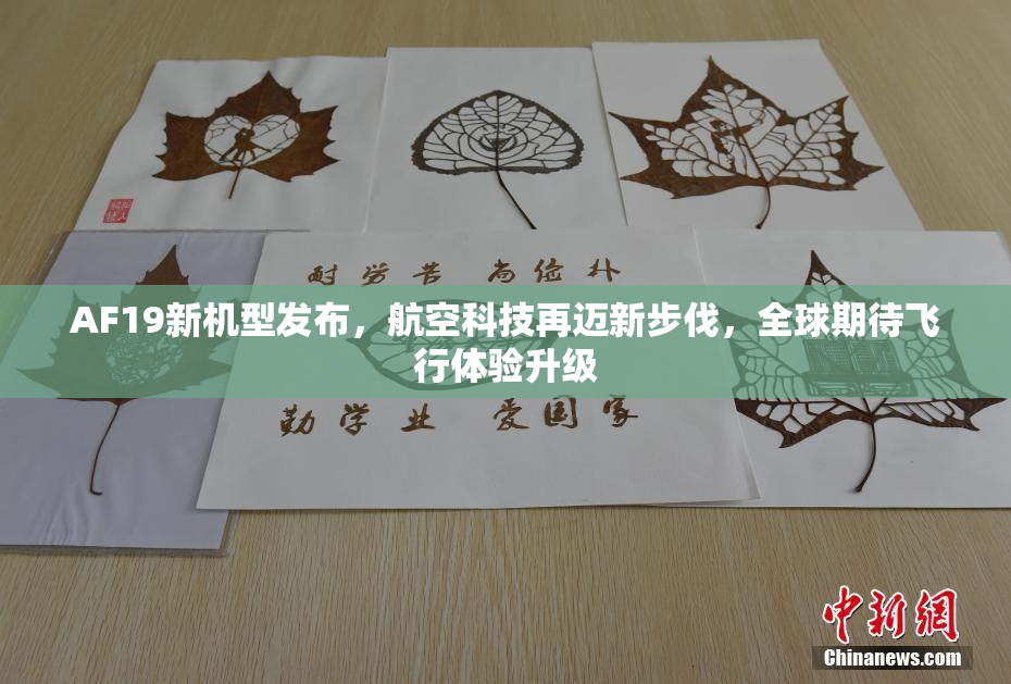 AF19新机型发布，航空科技再迈新步伐，全球期待飞行体验升级