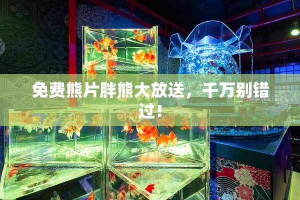 免费熊片胖熊大放送，千万别错过！